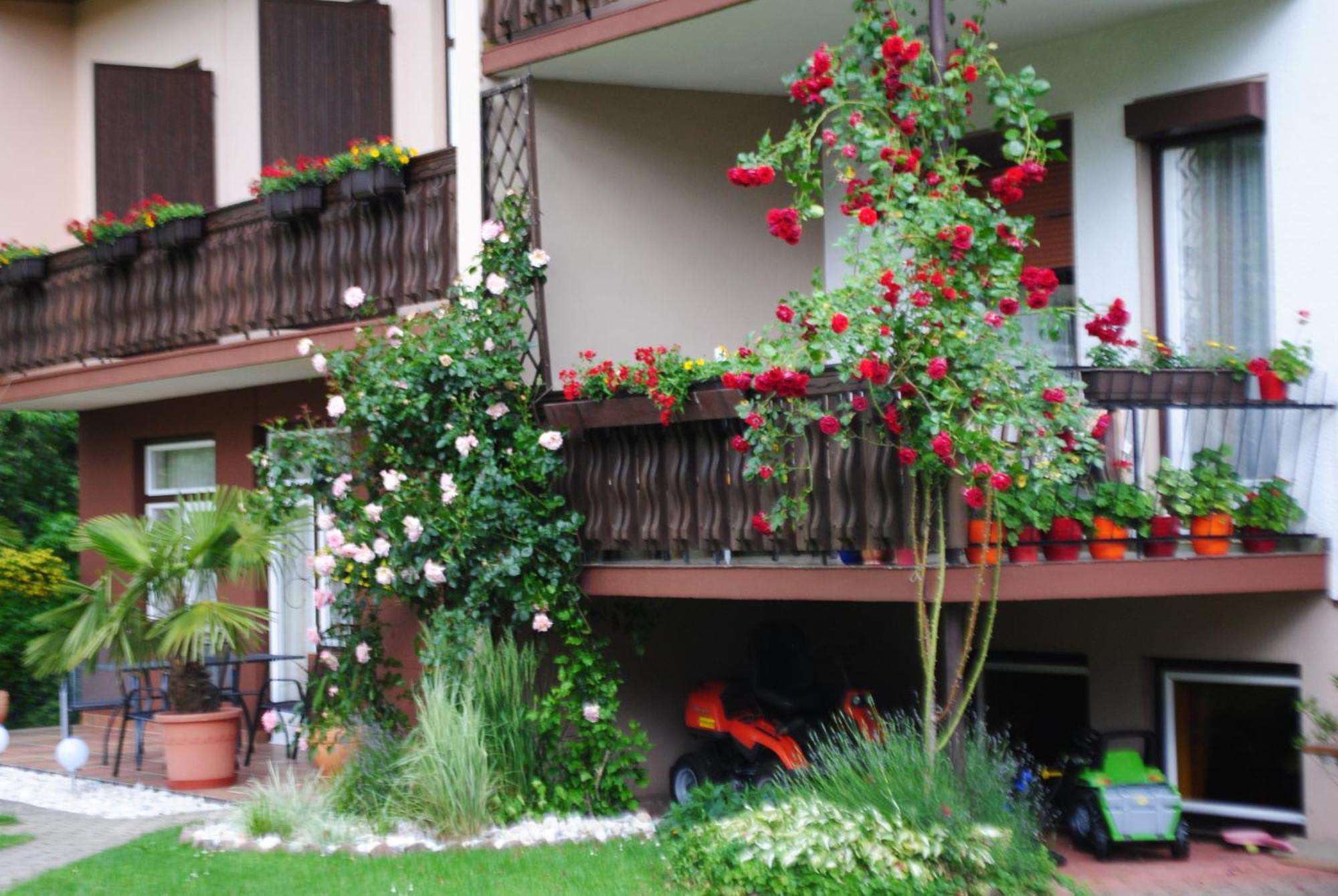 Ferienhaus Michor Latschach ober dem Faakersee Exterior photo